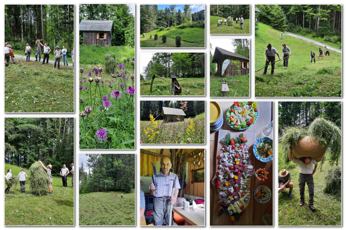 Heuernte 09.07.2022